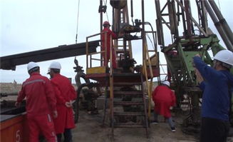 技術融合促發展 大港油田井下作業公司領導一行赴準東采油廠開展深度技術交流